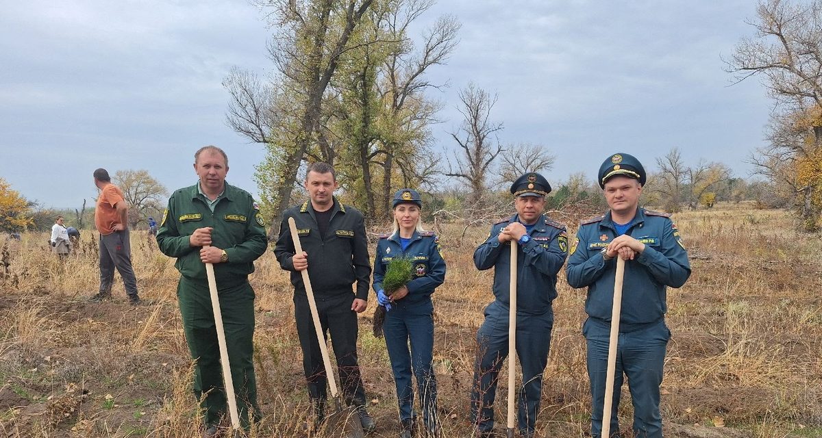 В Каменском районе дети с особенностями развития посадили молодые сосны вместе со спасателями