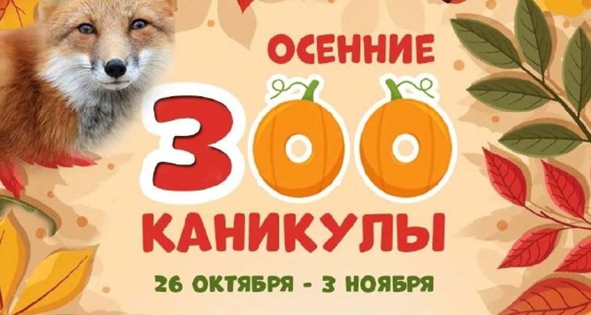 В Ростовском-на-Дону зоопарке на каникулах покажут кормления и профессии кипера