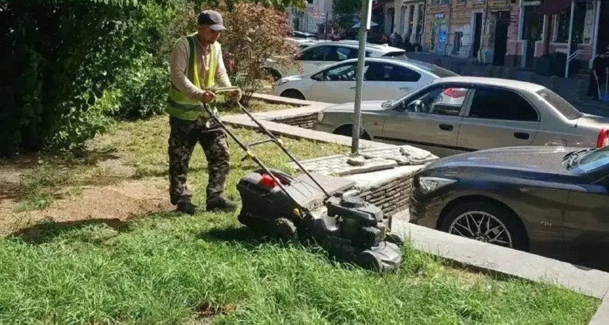 В Ростове-на-Дону с начала года составлено 418 протоколов за непокошенную амброзию